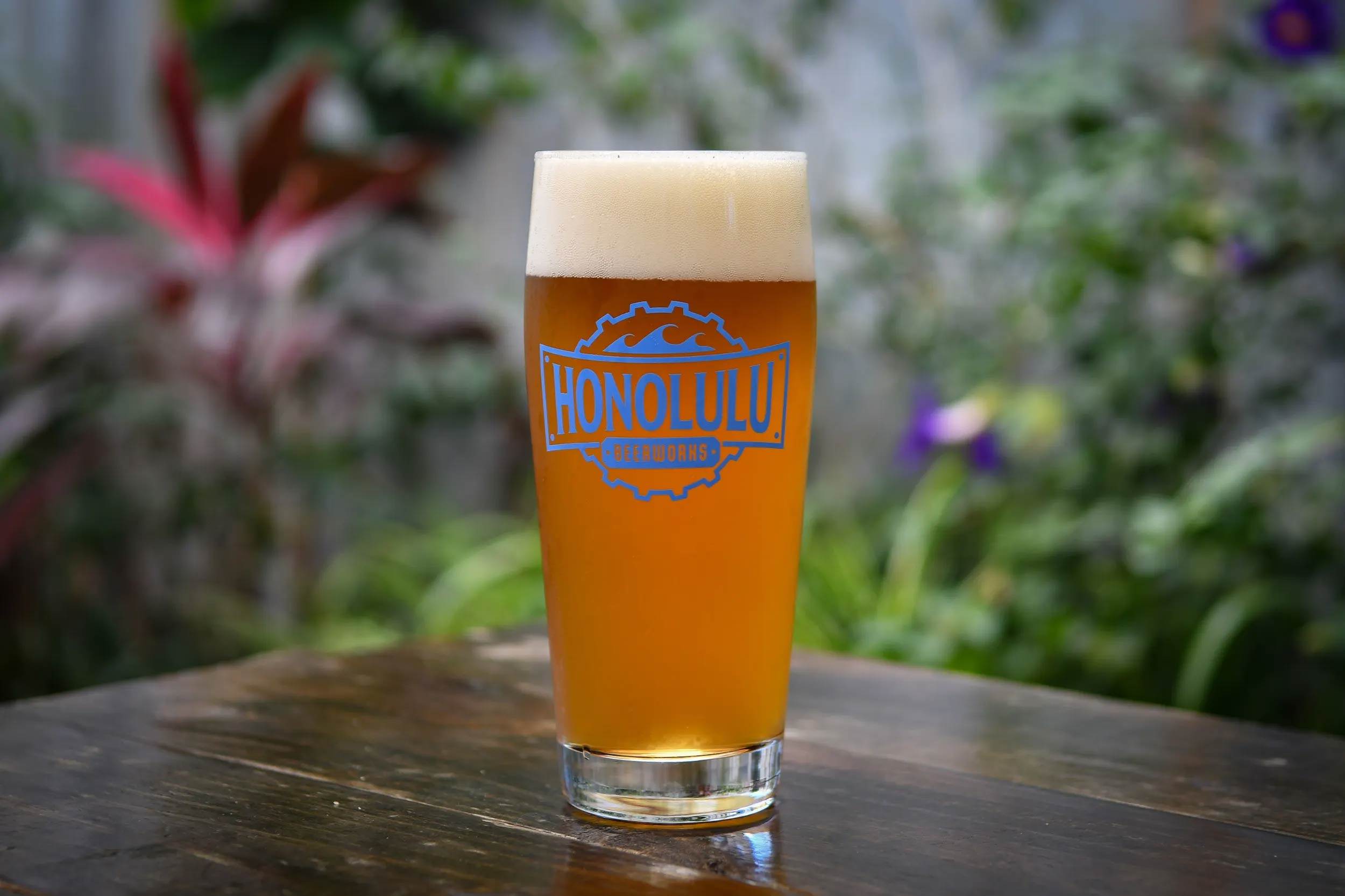 Japanese BEER - 2022 – Honolulu Beerworks